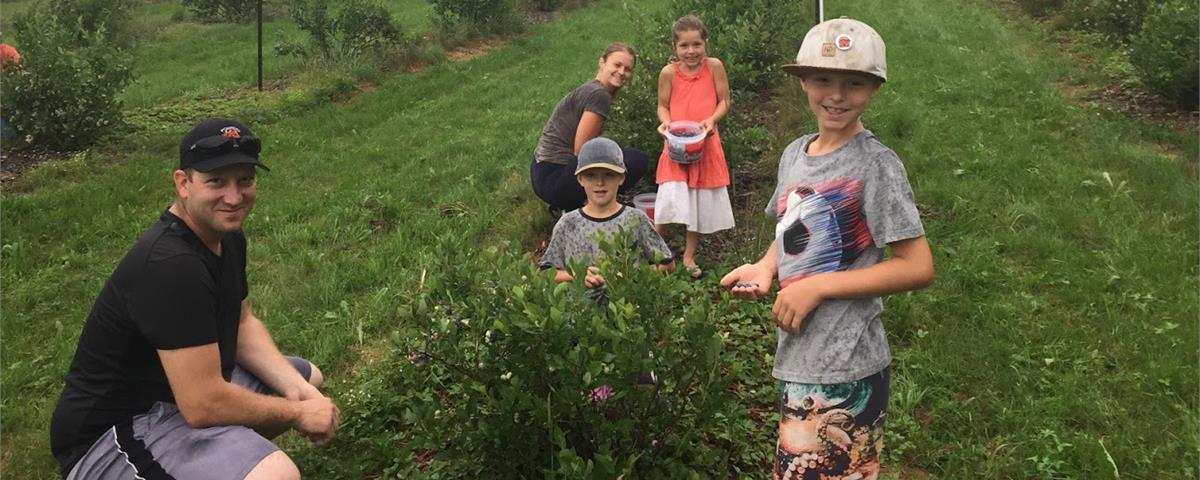 Cueillette Bleuetière Serge et Arlène