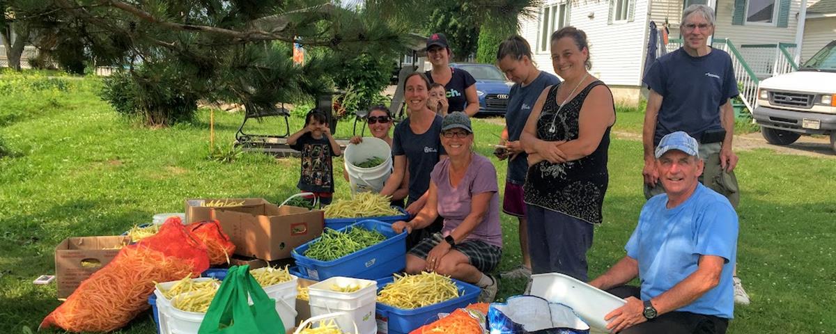 Haricots Jardinage Côté