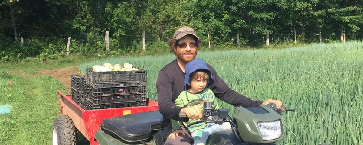 Cueillette de légumes à la Ferme des Possibles
