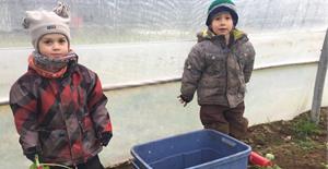 Cueillette de légumes à la Ferme des Possibles