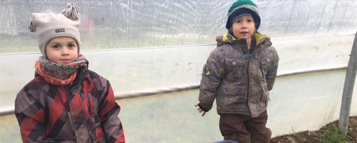 Cueillette de légumes à la Ferme des Possibles