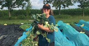 Cueillette de légumes à la Ferme Les Allées Champs