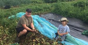 Cueillette de légumes à la Ferme des Possibles