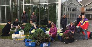 Cueillette au Parc Marie-Victorin