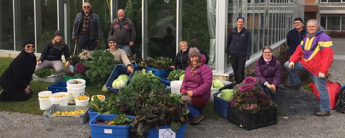 Cueillette au Parc Marie-Victorin