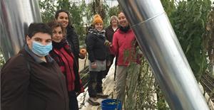 Cueillette de légumes à la Ferme des Possibles