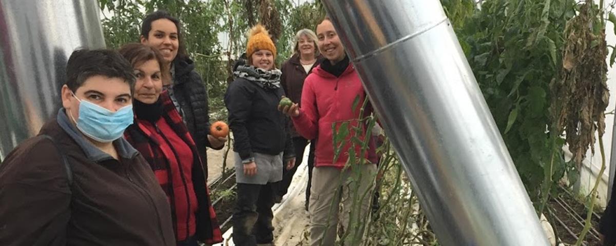 Cueillette de légumes à la Ferme des Possibles
